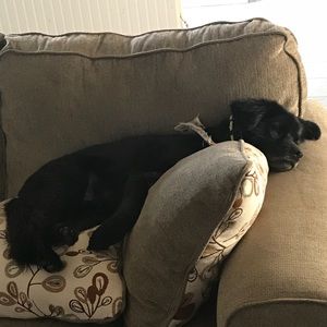 Meet your Posher, Chelsie